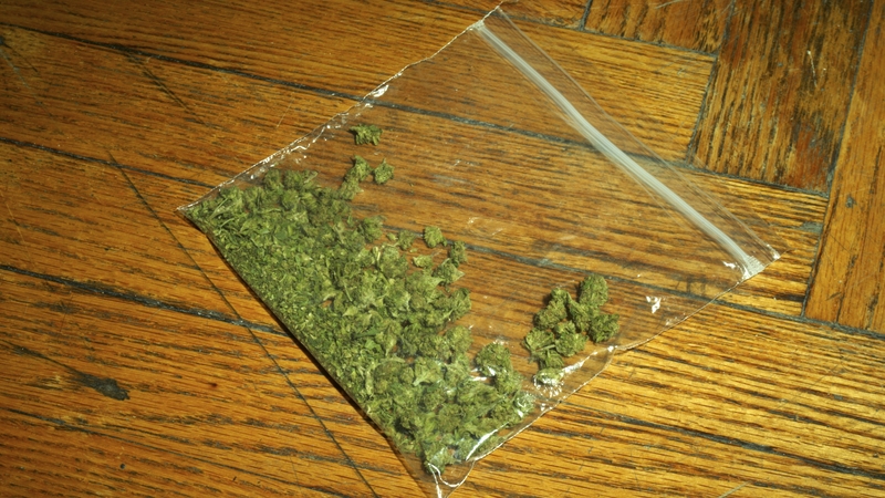 Small packets of marijuana were attached to the cat's collar