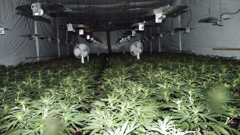 The seizure had an estimated street value of over €1.4m