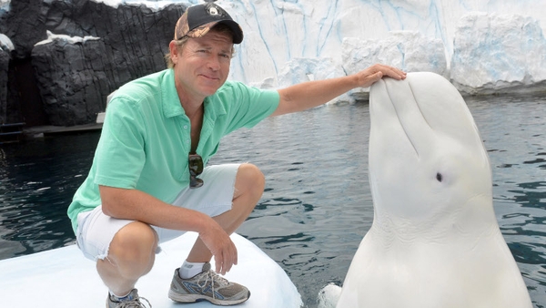 Greg Kinnear on a recent trip to Sea World in San Diego