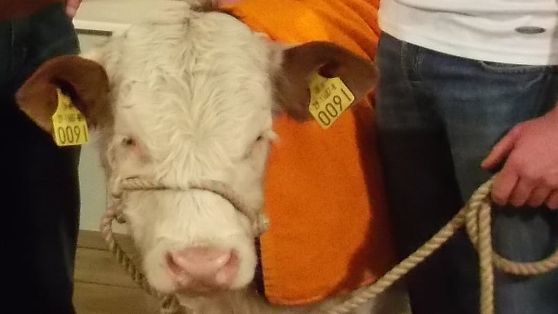 Pajo – No reports of correct Lotto numbers. Yet