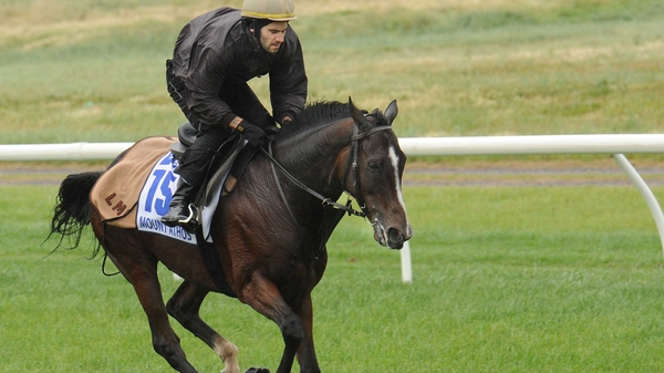 Mount Athos finished fifth in last year's Melbourne Cup