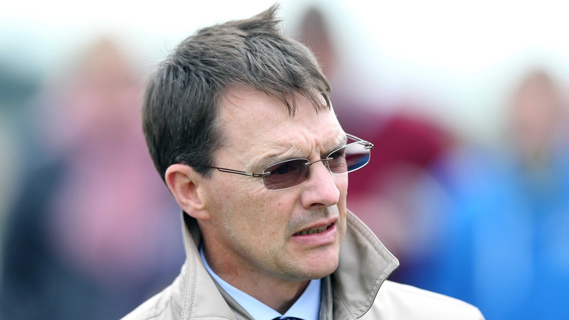 Aidan O'Brien saddles Carlo Bugatti and Kingfisher in the PW McGrath Memorial Ballysax Stakes