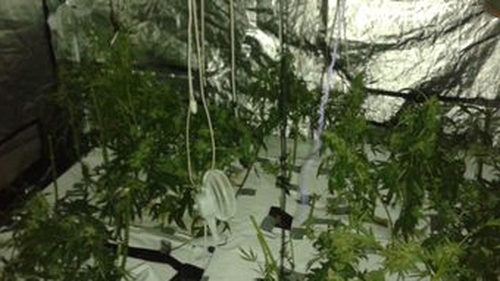 Garda photo from inside house in Drogheda where cannabis cultivation operation discovered