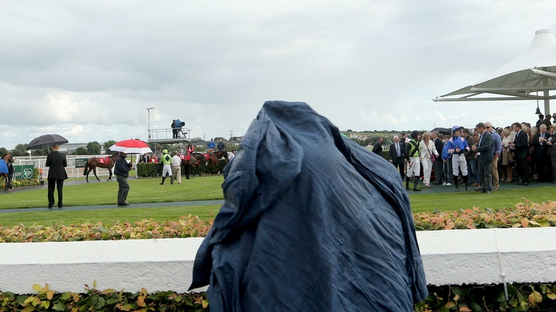 Paddy Power gave Don Cossack a quote of 14-1 for the RSA