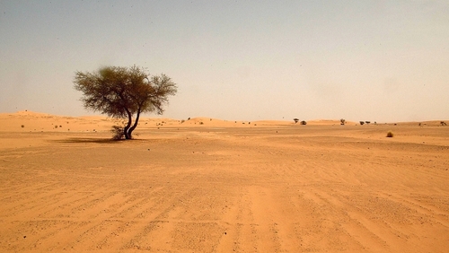 The cargo plane crashed in the Sahara desert