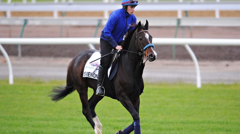 Simenon faces the sternest test of his career in Sunday's Japan Cup at Tokyo
