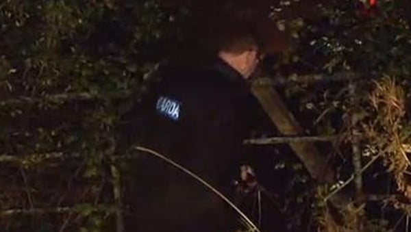 The arm was found at around 4.30pm in a wooded area in a place known as The Mayne between Clonee and Kilbride