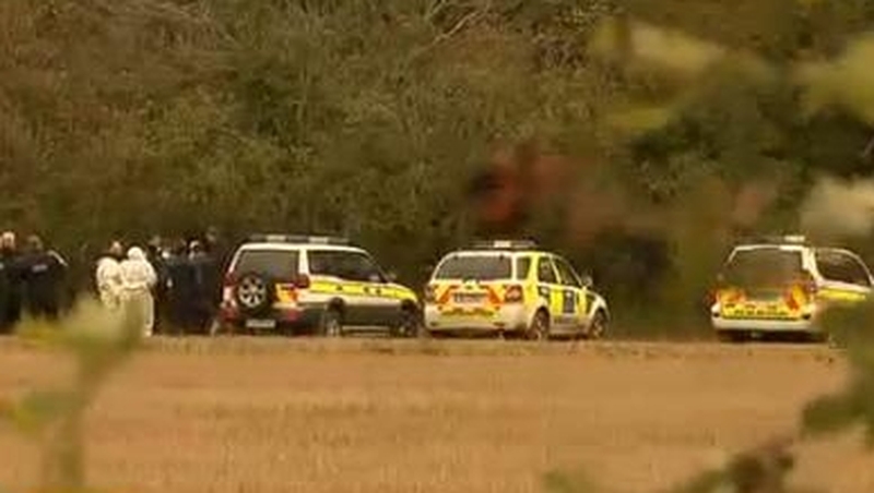 Christopher Gaffney's remains were found last month in Co Meath