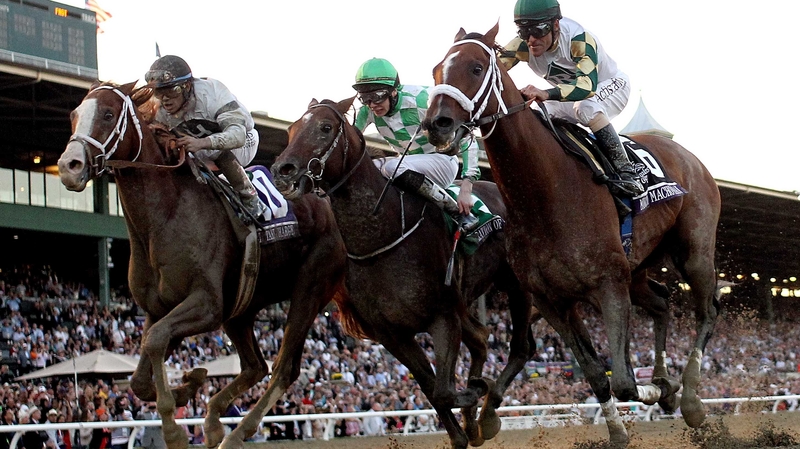 Mucho Macho Man (r) won the Breeders' Cup Classic