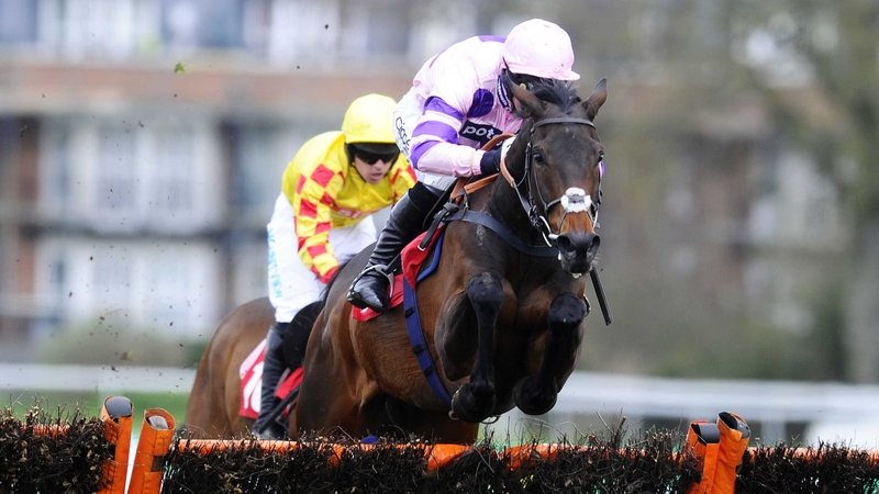 Ptit Zig could feature at Newcastle on 30 November