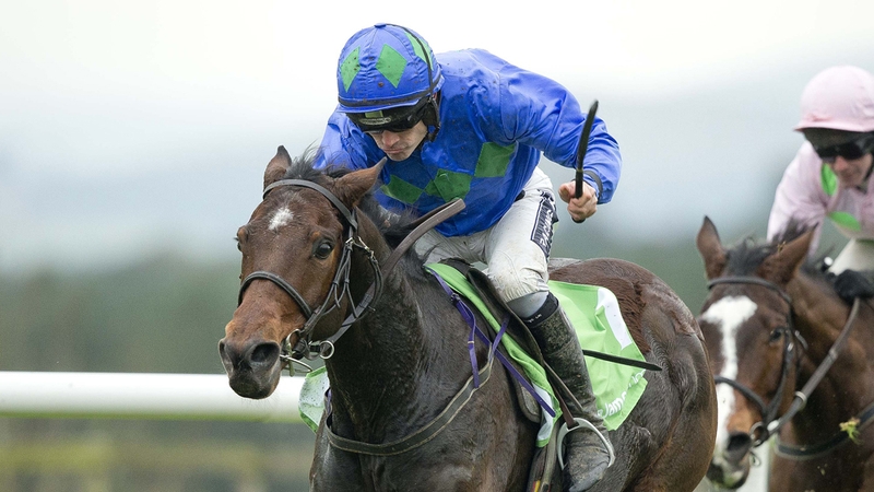 Hurricane Fly made a workmanlike return to action when capturing the Morgiana Hurdle at Punchestown last month