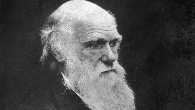 The frogs were named after Charles Darwin who discovered them in 1834 in Chile