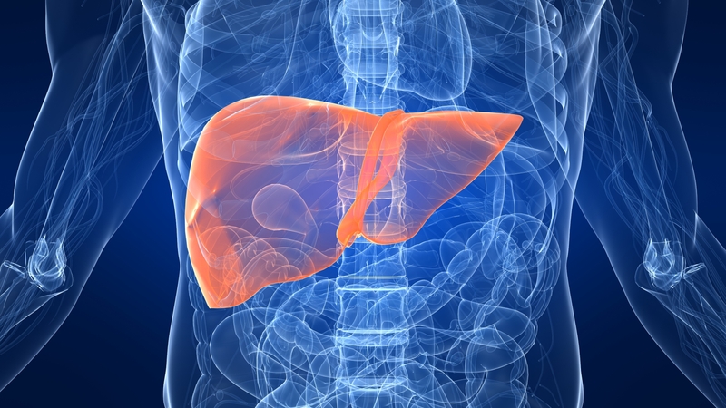 Specialists say the number of young people presenting with advanced liver disease is 'distressing'