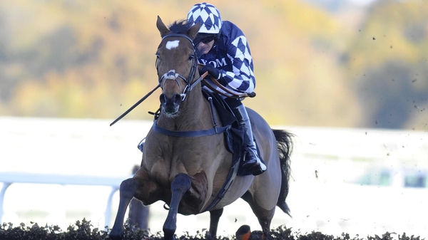Irving is a top-price 33-1 for the Champion Hurdle at the Cheltenham Festival