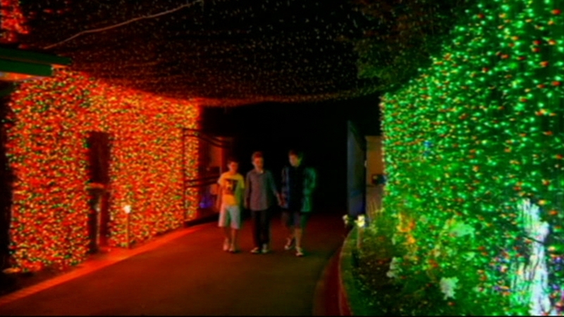 The festive home has been opened to the public to raise money for charity