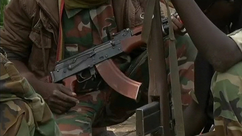 The Central African Republic has witnessed rising violence since rebels seized power in March