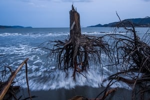 Japan After the Wave (Daniel Berehulak, Australia, Getty Images)