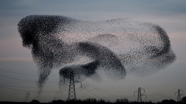 A ballet in the sky