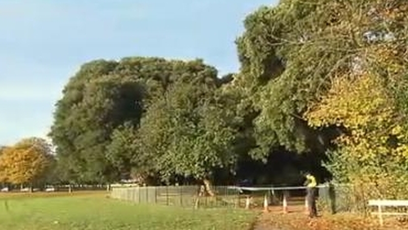 Gerard Donnelly's body was found on fire in the Phoenix Park in the early hours of 29 November 2013