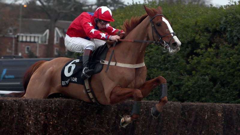 Sire De Grugy is unbeaten in seven starts over fences on right-handed tracks