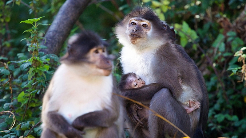 The baby is the third addition to Tema and Danso's family All photos: Patrick Bolger