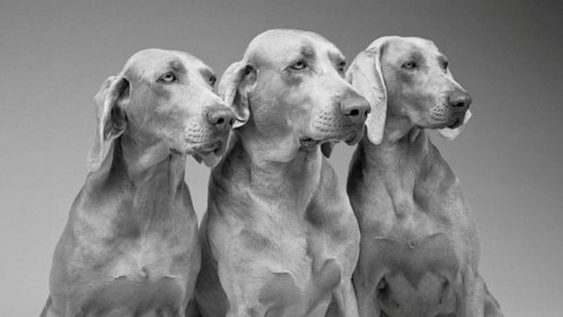 Of course we have feelings!