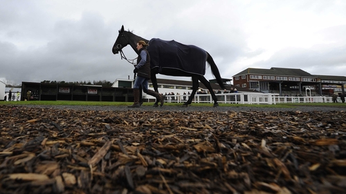 Big Buck's is set for another racecourse gallop before his return to competitive action