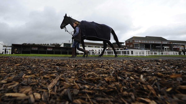 Big Buck's is set for another racecourse gallop before his return to competitive action