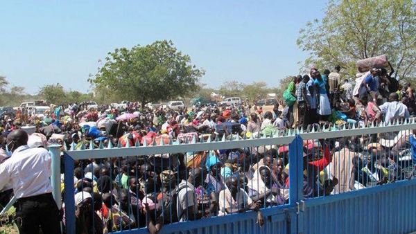 Violence in South Sudan between rebels and government forces has forced over 60,000 people to flee to UN shelters