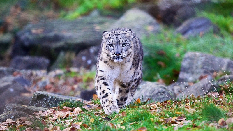 Over to you, folks...