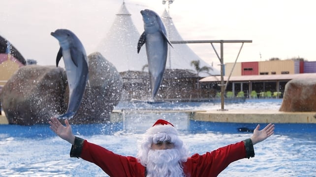 A man dressed as Santa Claus poses with dolphins jumping out of the water at the Marineland animal exhibition park in the French Riviera city of Antibes