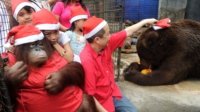 Zoo owner Manny Tangco places a Santa hat on a brown bear named 'Justin BieBear' as young children hug an orangutan named Pacquiao at the Malabon Zoo, suburban Manila