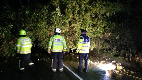 Gardaí and Fire crew deal with a downed tree between Freshford and Urlingford, Co Kilkenny (pic: @GardaTraffic)