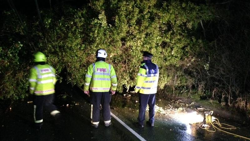 Gardaí and Fire crew deal with a downed tree between Freshford and Urlingford, Co Kilkenny (pic: @GardaTraffic)