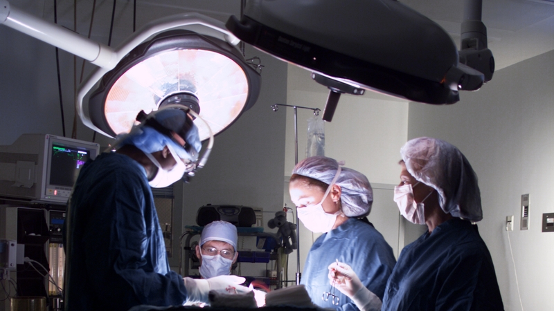 Figures show an increase in transplants from deceased and from living donors