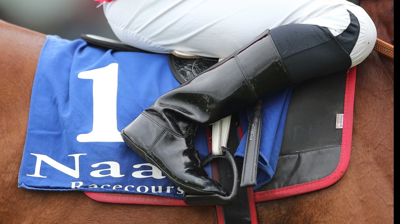 Briar Hill is expected to star for Willie Mullins' at Naas