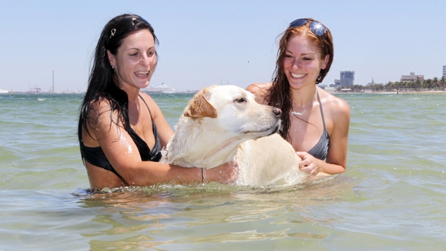 Cooling off at Middle Park beach as a heatwave affected Melbourne last week