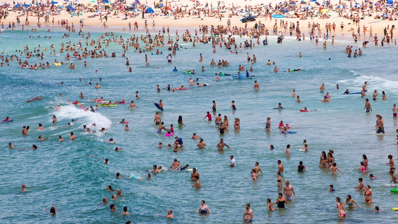 Crowds took to the sea to cool down in Bondi Beach, Sydney, in the recent heatwave