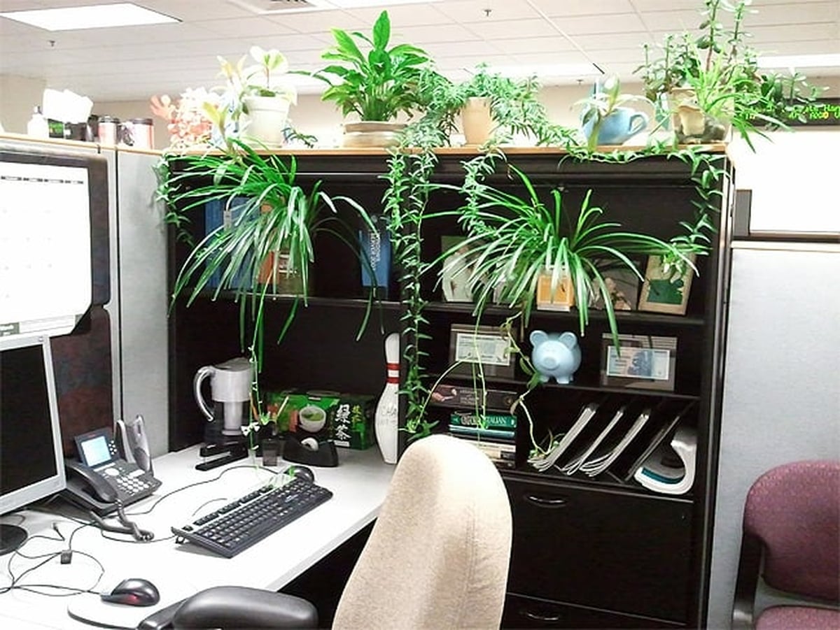 Michael Fry loves Pens