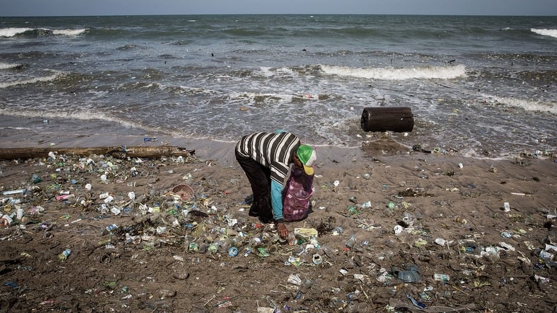 A man works to clear the beach
