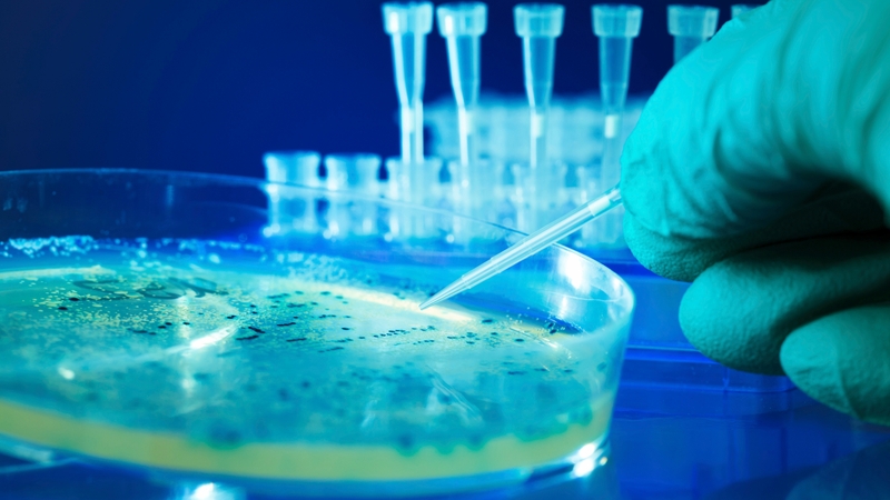 Once salmonella is established for seven days, even soaking it in disinfectant for 30 minutes will not kill it