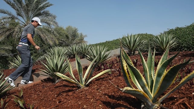 Rory McIlroy heads for the third tee during the Abu Dhabi HSBC Golf Championship in the UAE