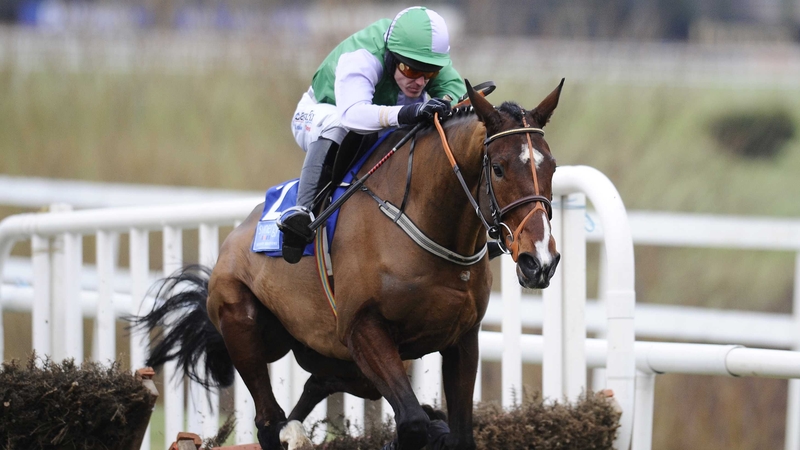Hidden Cyclone will run in the Boylesports.com Champion Chase