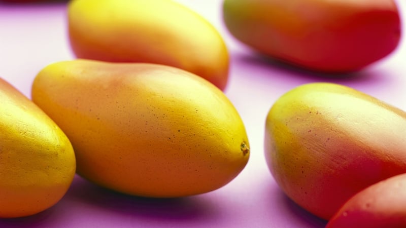 Neven Maguire's Mango Gel