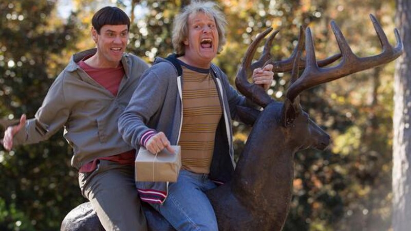Up to their old antlers, sorry, antics