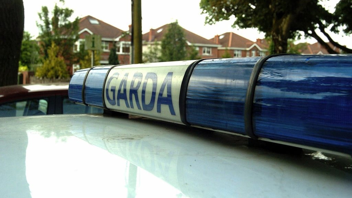 Minister responds to criticism over garda car journey from Cork to Dublin Airport