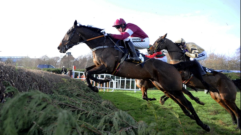 Trifolium is a best-price 10-1 to win the Arkle at the Cheltenham Festival after his Leopardstown success