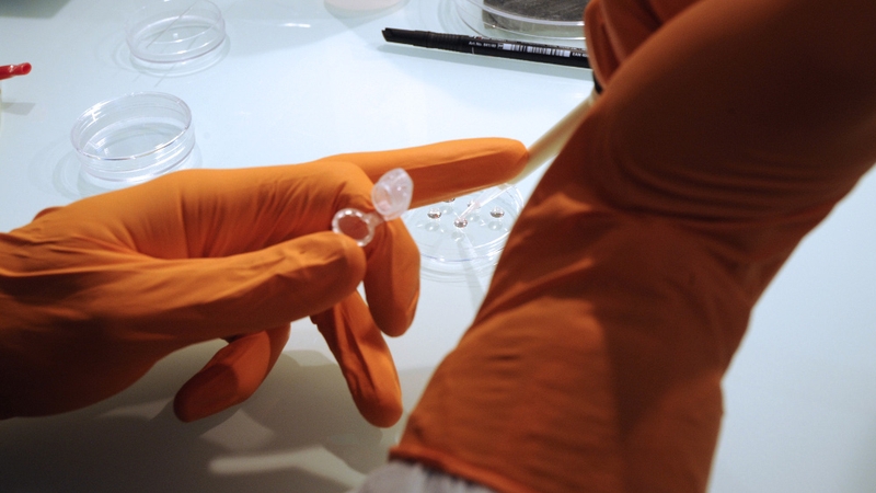 Cells can be reprogrammed into an embryonic-like state by altering their environment