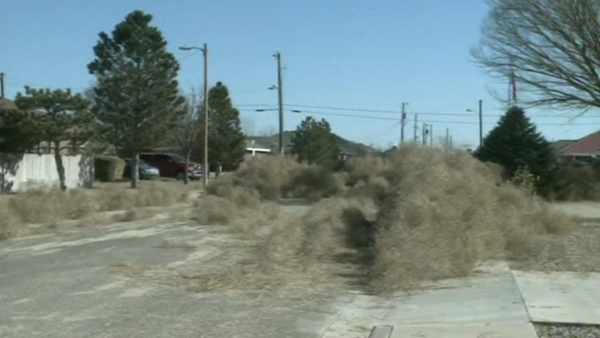 Tumbleweed blocked roads and buried houses