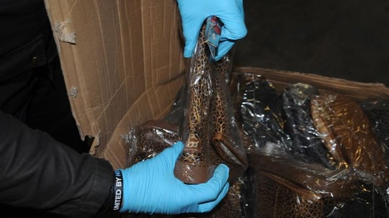 Gardaí say the operation is continuing